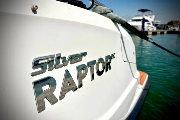Raptor sign